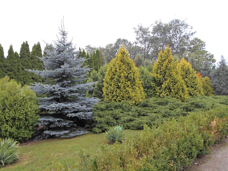 DSCN0702.JPG