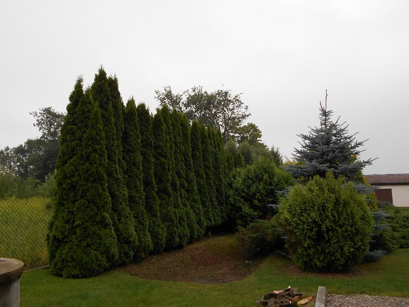 DSCN0703.JPG