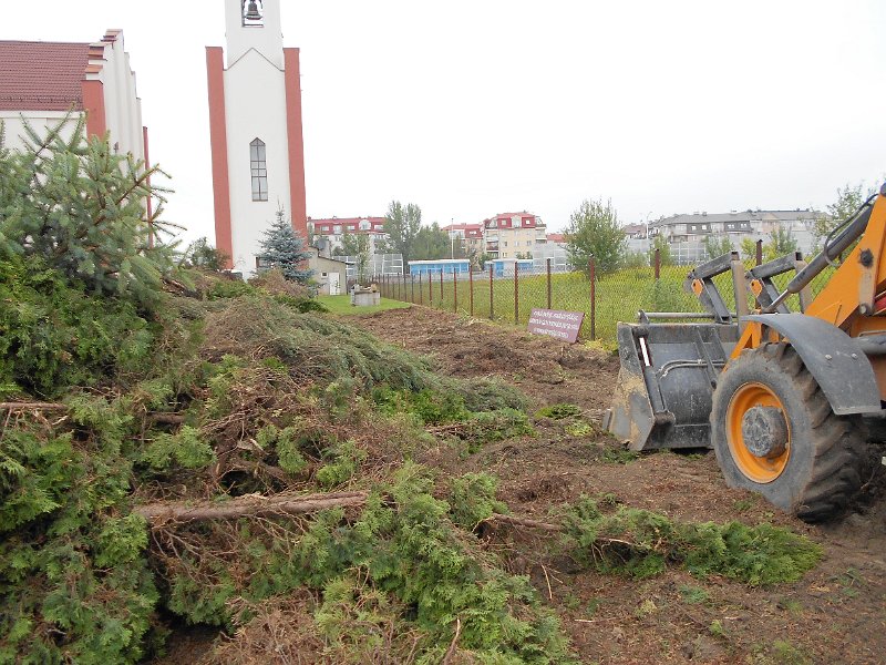 DSCN0710.JPG