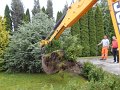 DSCN0685