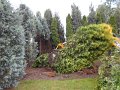 DSCN0695