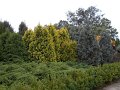 DSCN0701