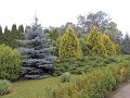 DSCN0702
