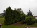 DSCN0703