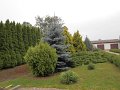 DSCN0704