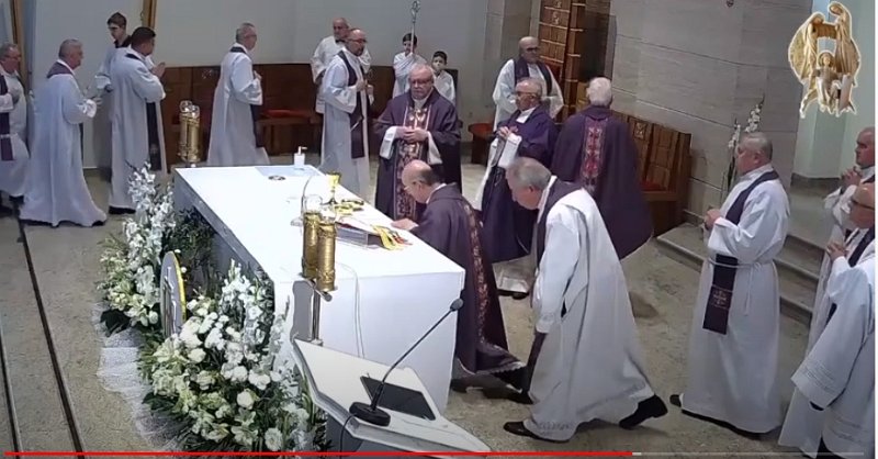 p14.jpg